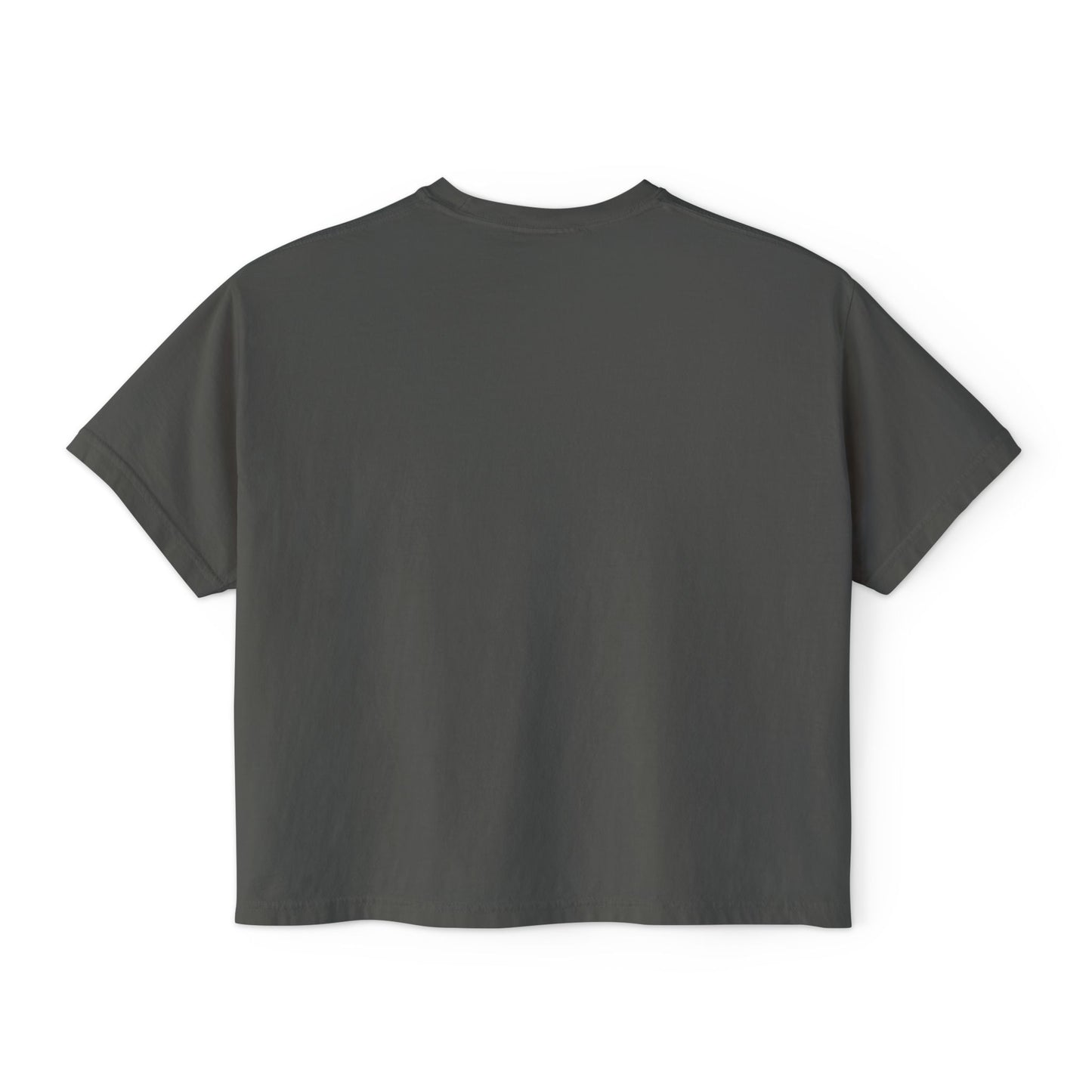 I’m Not Gonna Hold You Women’s Boxy Tee | Funny Graphic T-Shirt | Minimal Streetwear Top