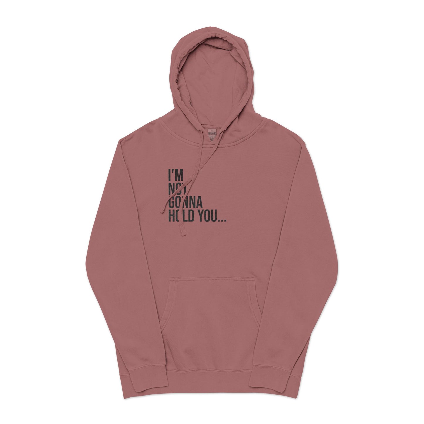 I’m Not Gonna Hold You Embroidered Hoodie | Unisex Streetwear Sweatshirt | Minimalist Funny Pullover