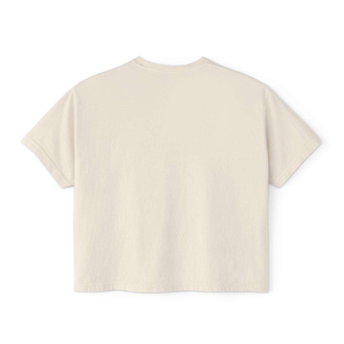 I’m Not Gonna Hold You Women’s Boxy Tee | Funny Graphic T-Shirt | Minimal Streetwear Top