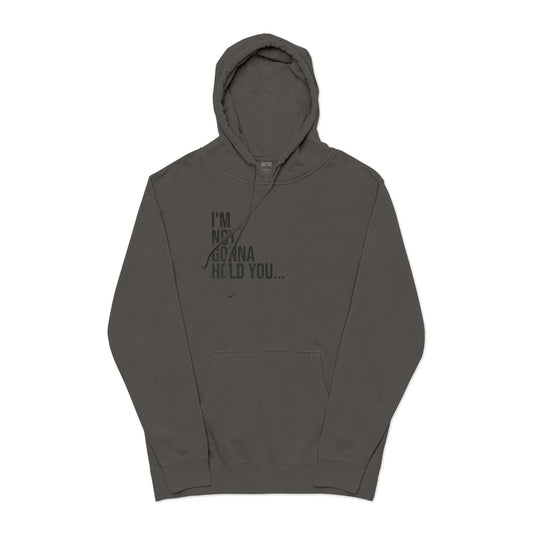 I’m Not Gonna Hold You Embroidered Hoodie | Unisex Streetwear Sweatshirt | Minimalist Funny Pullover