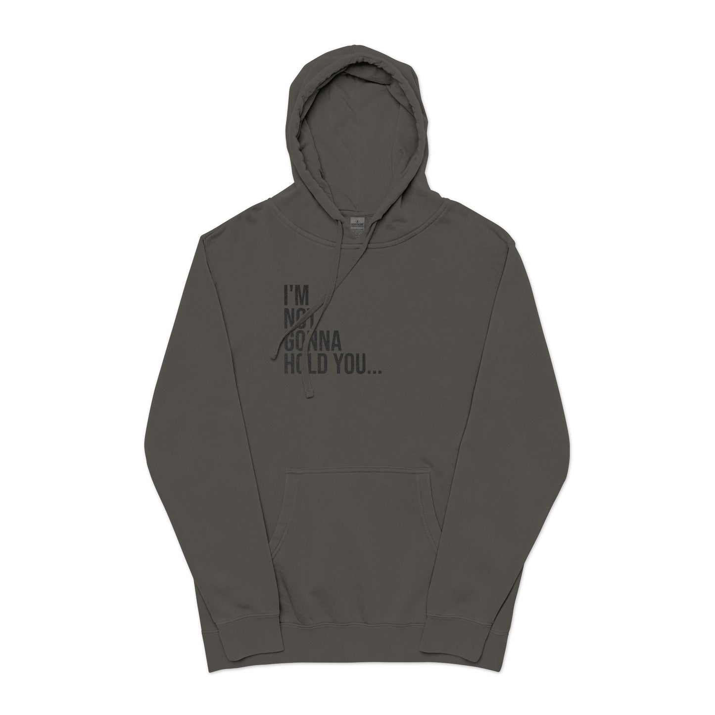 I’m Not Gonna Hold You Embroidered Hoodie | Unisex Streetwear Sweatshirt | Minimalist Funny Pullover