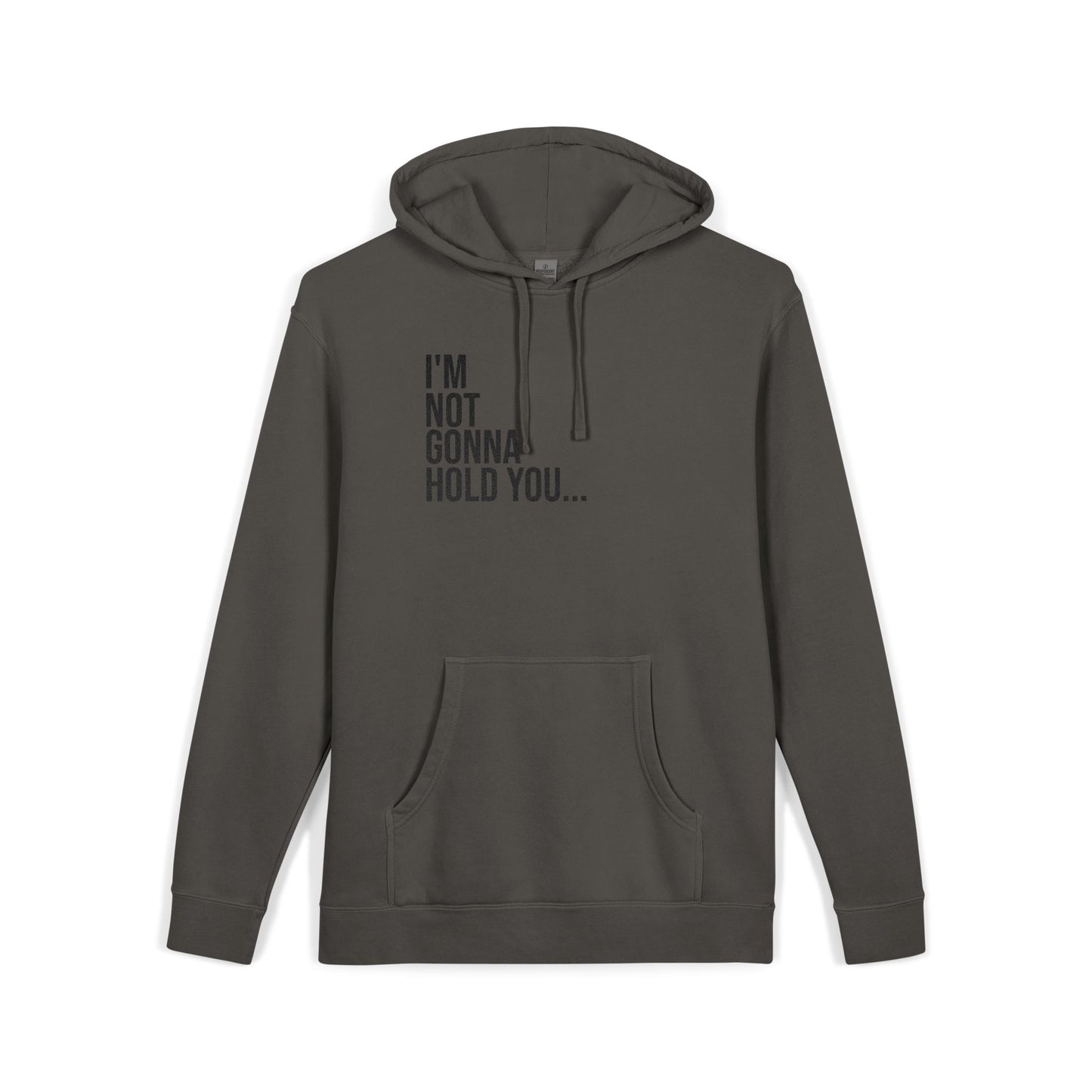 I’m Not Gonna Hold You Embroidered Hoodie | Unisex Streetwear Sweatshirt | Minimalist Funny Pullover