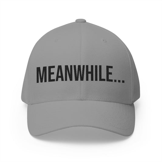 Meanwhile Embroidered Cap | Minimalist Baseball Hat | Unisex Streetwear Cap