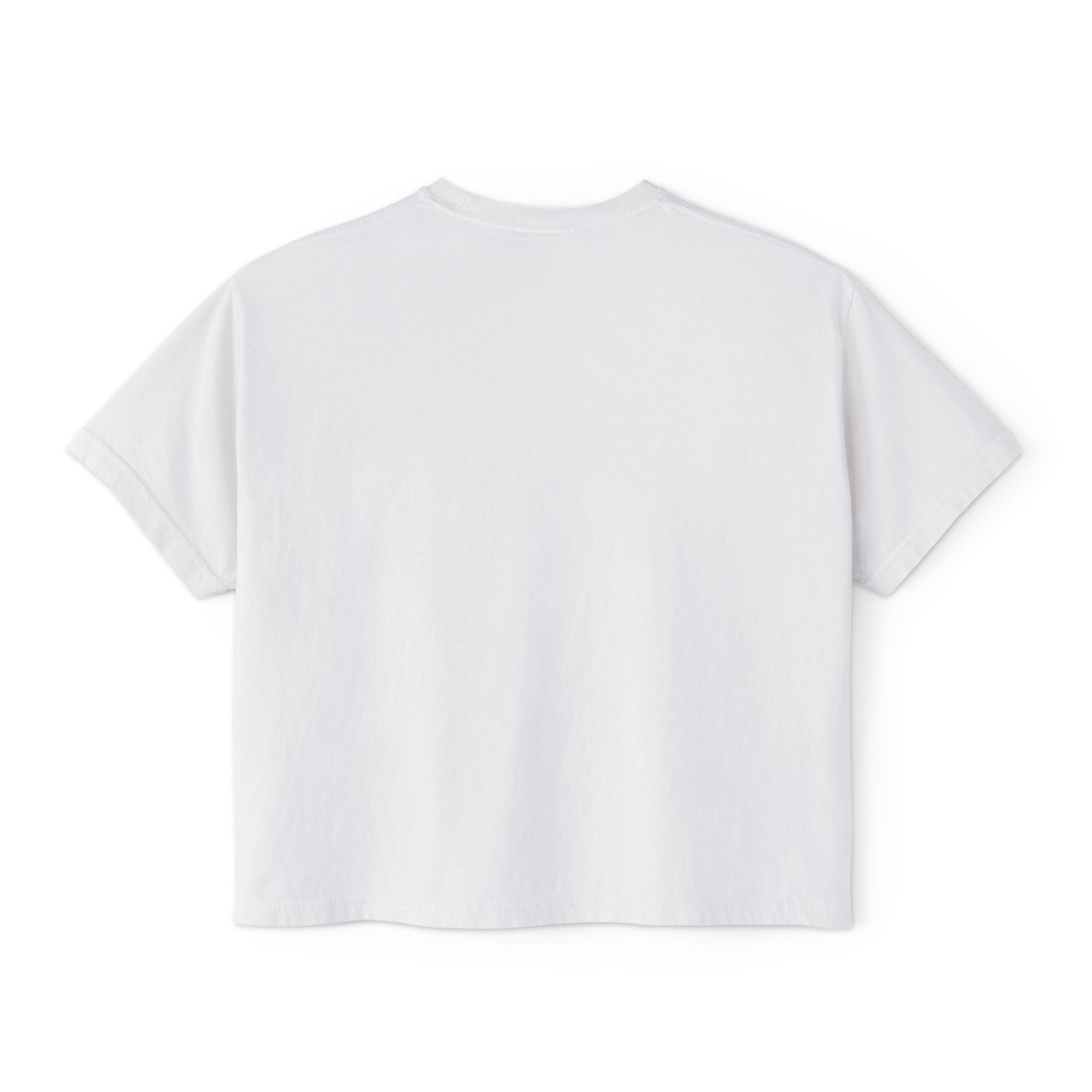 I’m Not Gonna Hold You Women’s Boxy Tee | Funny Graphic T-Shirt | Minimal Streetwear Top
