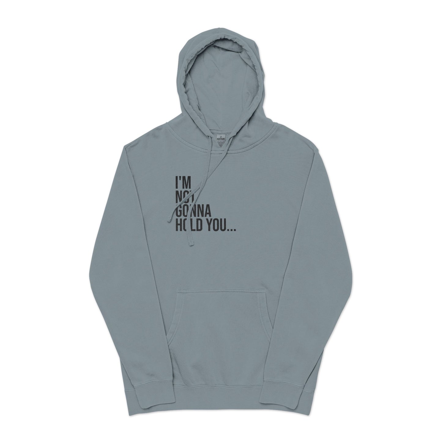 I’m Not Gonna Hold You Embroidered Hoodie | Unisex Streetwear Sweatshirt | Minimalist Funny Pullover